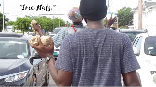 72 hours pt 2 (Rastafari in The Bahamas)