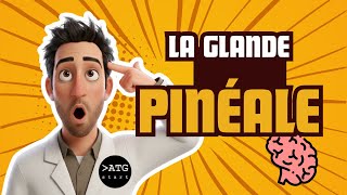La glande pinéale (épiphyse) 💤