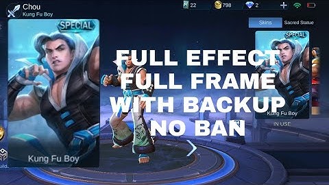 CHOU FURIOUS TIGER FULL EFFECT FULL FRAME WITH BACKUP NO BAN