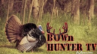 Tips on Turkey Management [BHTV]