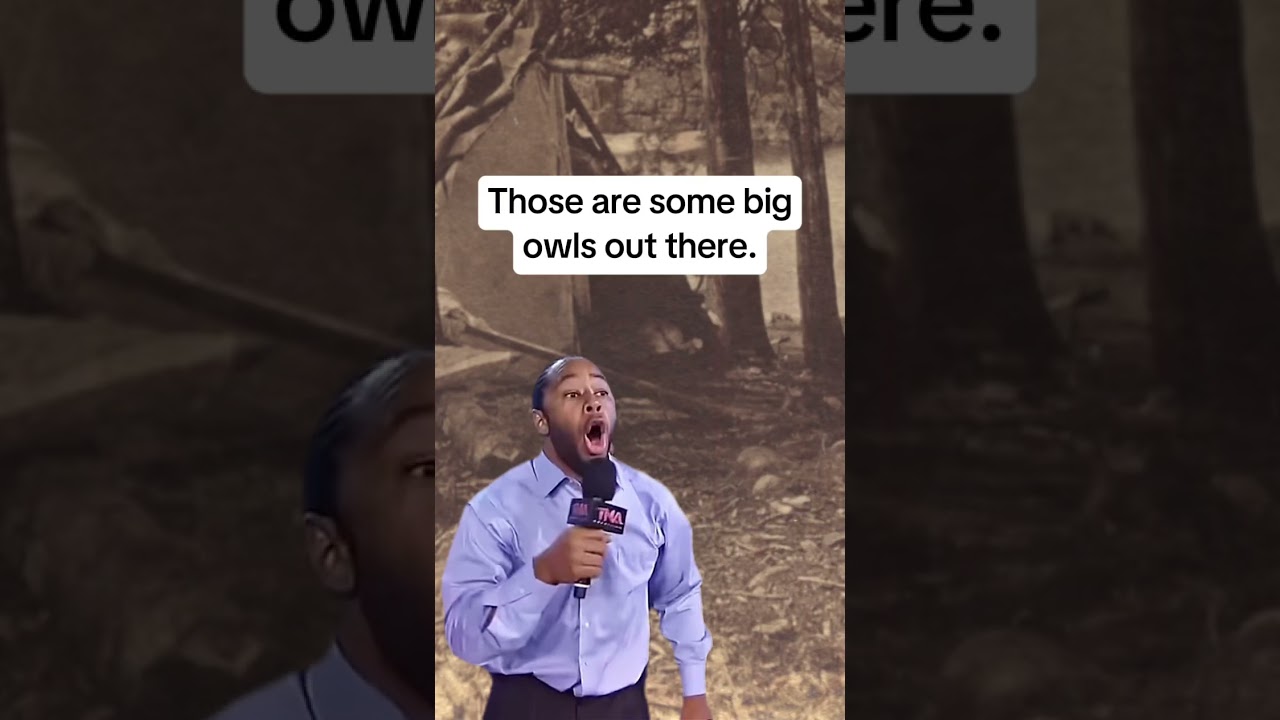 Watch out for 800 pound owls