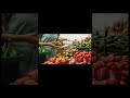 Judgement Sampling part-2| Non-Probabilistics Sampling #sampling