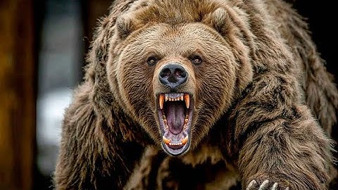 The 14-Foot Bear That Made Even Polar Bears Look Small! | Full Documentary