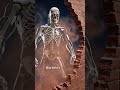 If Your Bones Never Broke, You'd Be Trapped 🦴 #bodyhorror #anatomy #shorts