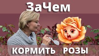 КОРМИТЬ РОЗЫ НАДО ОБЯЗАТЕЛЬНО! Чем, и зачем мы кормим розы! 27 апреля 2024 г.