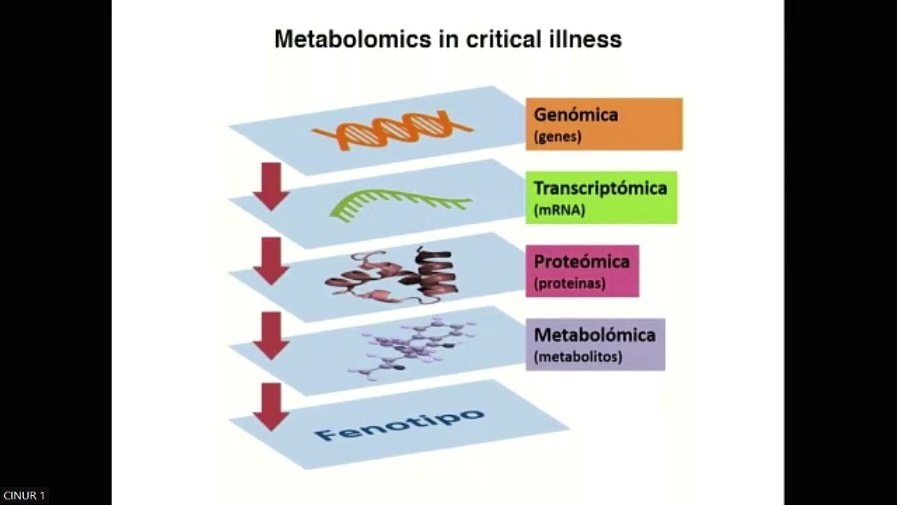 9   Cambios metabólicos en la sepsis  Luis Lorente españa