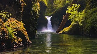 Beautiful Relaxing Music, Peaceful Soothing Music, \