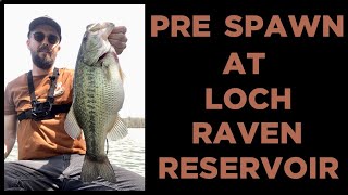 : Pre Spawn at Loch Raven: Big Eclipse Bass, Lost GoPro, Livescope on a Canoe!