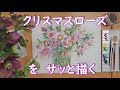 【透明水彩画】クリスマスローズをサッと描く