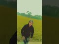 saiya Ke jogawal ail dhanva dhuan kaile ba #bhojpuri status #video #shorts #youtubeshorts