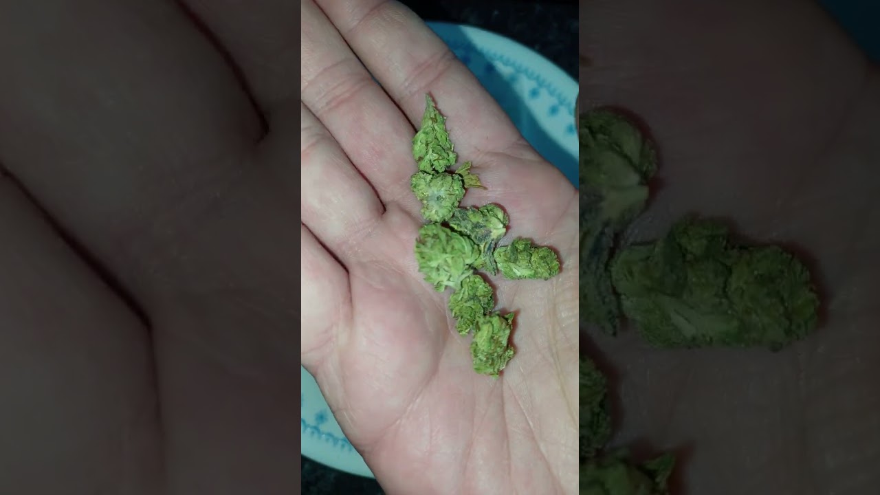 White Truffle, JK Distro, CBD/THCA hemp flower (is it good?)