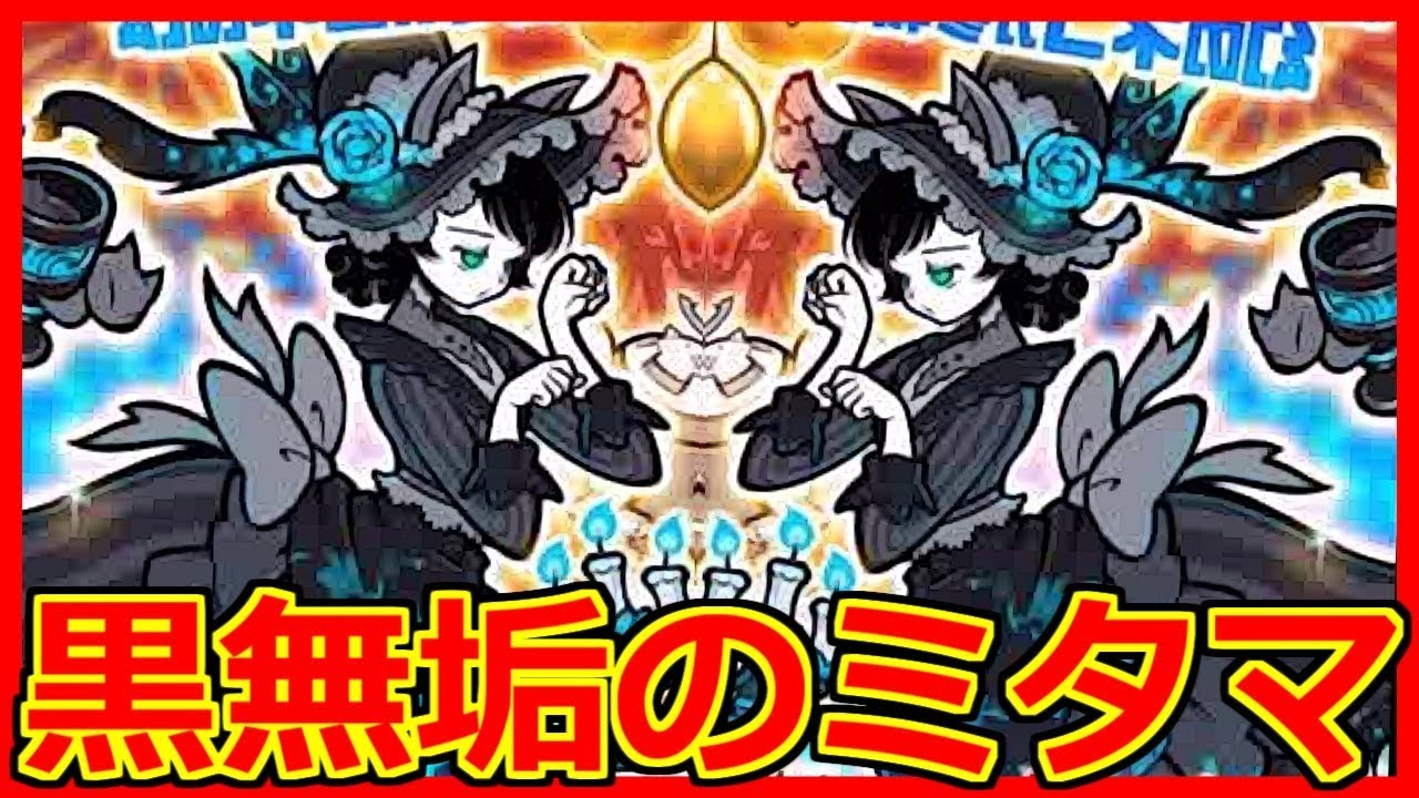 ちゃそ⚙様　確認用　黒と青と薔薇のにゃんこ Kuromuku Mitama has come to the Extreme Cat Festival! I'll show