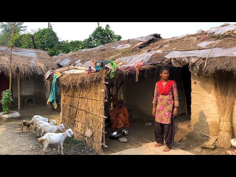 ვიდეო: ის, რაც სოფლის მცხოვრებლებს ჩამოაქვთ სოფლიდან