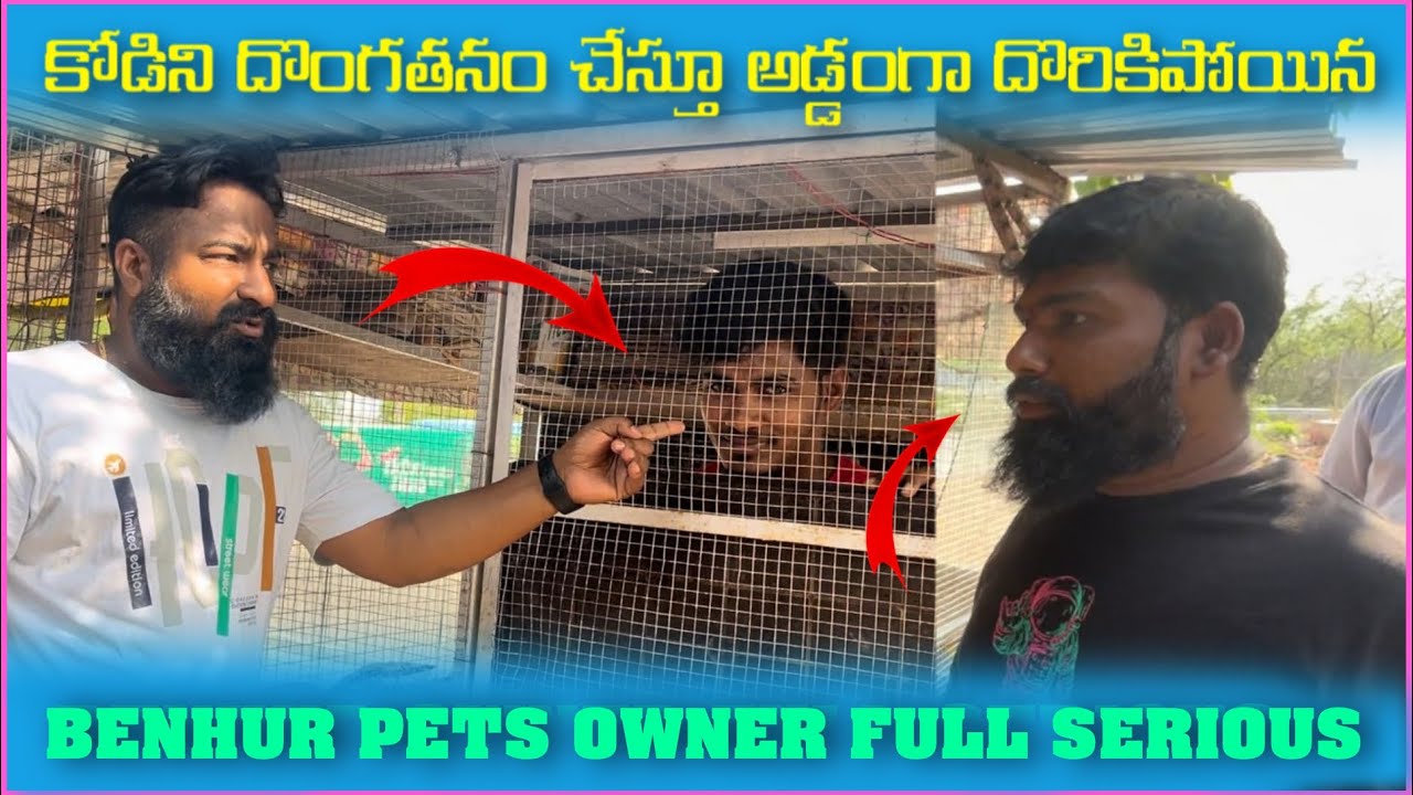 కోడి ని దొంగతనం చేసిన Benhur  ని Cage లో Lock చేసి Revenge తీర్చుకున్నారు #pareshanboys #comedytub