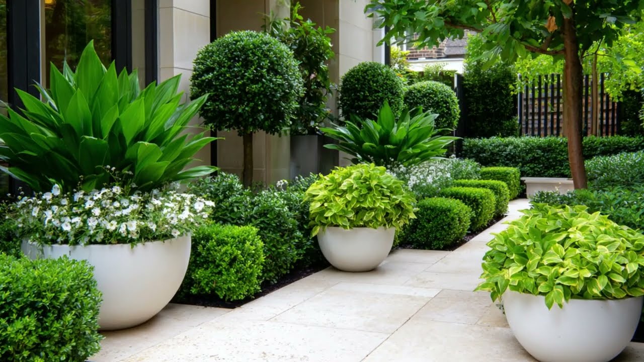 Architectural Plant Gardens – Use Statement Plants to Define Outdoor Space Structure!