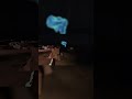 help #animalcompany #gorillatag  #vr #free #giveaway #funny #scarry #gaming  #gorillatagquest #pc #i