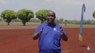 KANUNI BORA ZA UANDAAJI WA SHAMBA KANUNI BORA ZA UANDAAJI WA SHAMBA