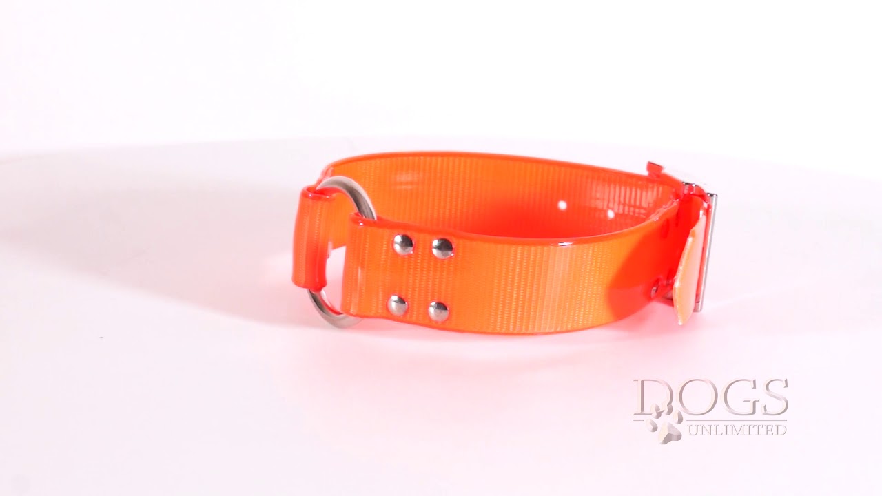 SunGlo Dog Collar, Center Ring, 1 1/2" Wide YouTube