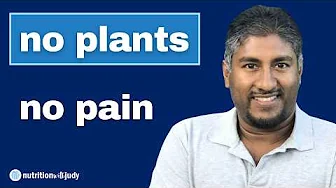 No Plants, No Pain: Biohacking with Carnivore | Animal Documentary’s Vinny Lingham