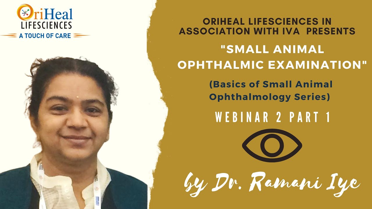 Samall Doctor Part 1:Small Animal Ophthalmic Examination (Basics of Small Animal ...