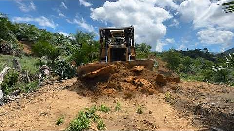 The Skill of the Cat d6r XL Bulldozer Operator in Opening Roads in the Palm Oil Plantation
