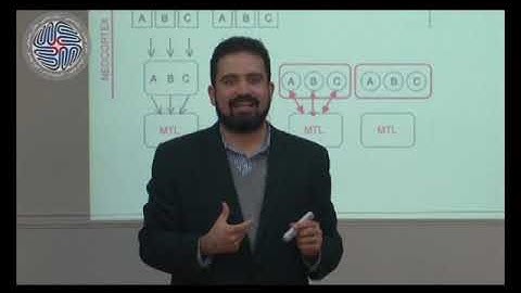 Basics of Cognitive Neuroscience: Farsi, Session Nine, Part Three