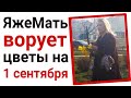 ЯжеМать ворует цветы на 1-ое сентября!