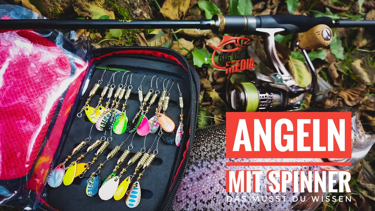 Forellenangeln mit SPINNER - Diese AUSRÜSTUNG BRAUCHST Du | Tipps vom Profi