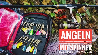 Forellenangeln mit SPINNER - Diese AUSRÜSTUNG BRAUCHST Du | Tipps vom Profi