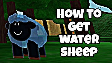 How to Get Water Sheep in Find the Sheep Roblox | water sheep