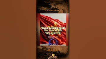 NHỮNG QUỐC GIA NGOÀI VIỆT NAM RA ĐẶT TƯỢNG BÁC HỒ…#bảocóc #bảocócvlog #baococvlogboss #shorts #bacho