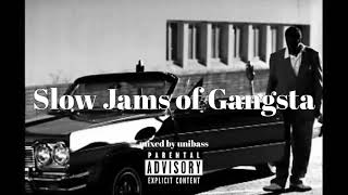 G-Funk Mix / Slow Jam / West Coast Hip Hop Mix &quot;Slow Jams of Gangsta&quot;
