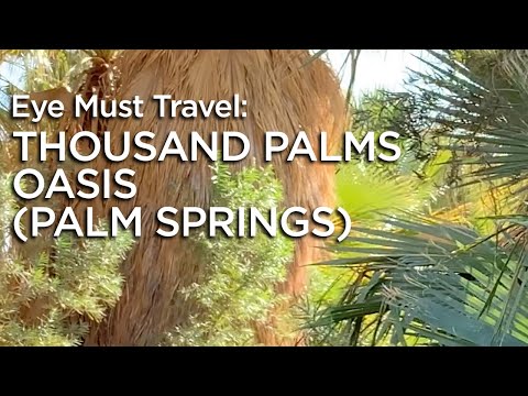 Palm Springs: Thousand Palms Oasis 4K