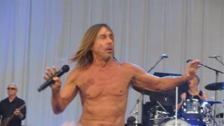 Iggy pop - the passenger live @ rock en seine