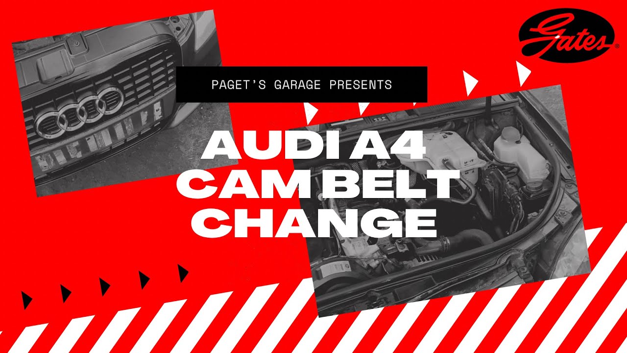Audi A4 2.0tdi cambelt change YouTube