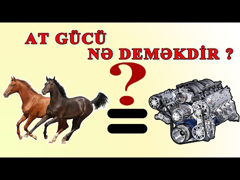 Video: At gücünü necə müəyyənləşdirmək olar?