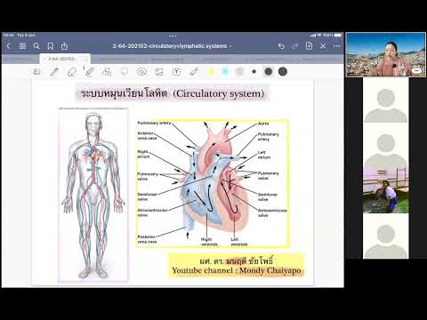 202102-2-circulatory system-1-sec Tue