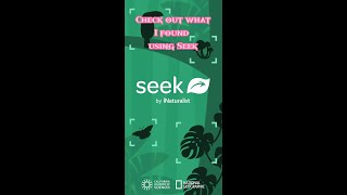 Check out Seek!  A Free Plant Identification App developed by National Geographic. screenshot 3