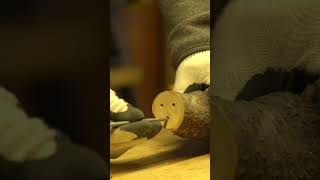 cabin woodworking . solowork . wire tree 9 . woodcarving ASMR