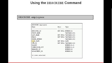 describe command
