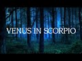 Venus in scorpio scorpio venus venusinscorpio astrology