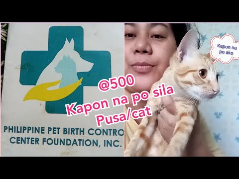 Video: Sa Anong Edad Ganap Na Lumaki Ang Mga Pusa?