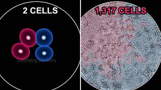 The Most Satisfying Physics Simulations I’ve Ever Built