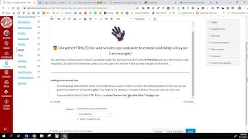 HTML Editor in Canvas to add a horizontal line