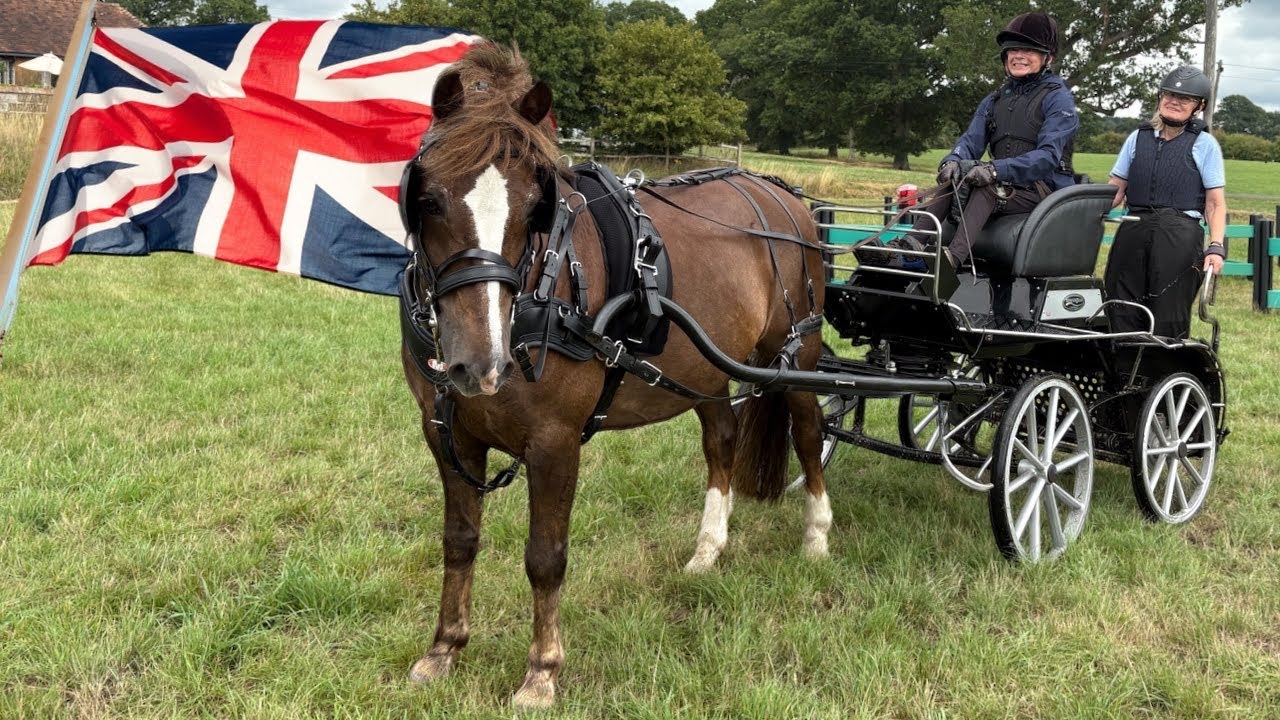 Meeting the British Para Carriage Drivers 🇬🇧 Prepping for World Championships