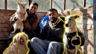 Many Street dogs Lives in His Cafe in Himachal Pradesh (Dharamshala)| Dog Lovers Must Watch ❤