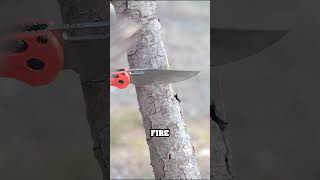 Cut Down a Tree Using a Pocket Knife knives