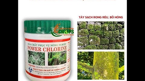 POWER CHLORINE 70WP–HÓA CHẤT PHỤC VỤ NÔNG NGHIỆP...0776.755.793..thuốcbảovệthựcvật.vn#sáttrùngchuồng