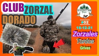 LANCAMENTO DE TORDO permanente 02 TORDO al paso em Castilla La Mancha