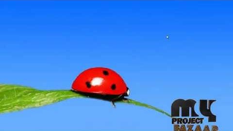 REAL: A Reciprocal Protocol for Location Privacy in Wireless Sensor Networks